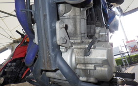 KAWASAKI KLX250D TRACKER X 2021 LX250V