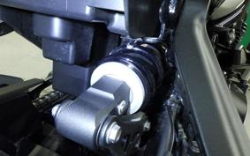 KAWASAKI Z900RS 2024 ZR900K