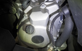 YAMAHA X-MAX 250 2024 SG70J