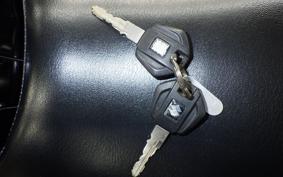 SUZUKI GIXXER 150 1997 ED13N