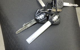 SUZUKI Vｽﾄﾛｰﾑ250A 2019