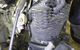 YAMAHA TW225 DG09J