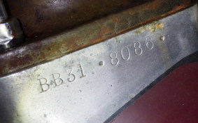 OTHER BSA 2011