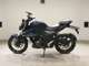 Фото Suzuki GIXXER 250 1991 с японского аукциона