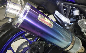 YAMAHA YZF-R25 A 1995 RG43J