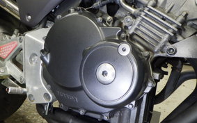 HONDA HORNET 250 2022 MC31