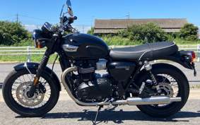 TRIUMPH TRIUMPH BONNEVILLE T100 2024 DAD70G