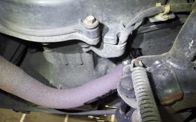 HONDA LEAD 100 2025 JF06