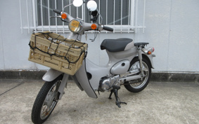 HONDA SUPER CUB50 C50