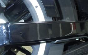 HARLEY XL1200XS 2019