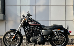 HARLEY XL883R 2009 CS2