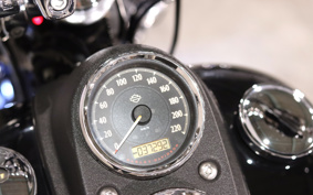 HARLEY FXDL 2015 GN4