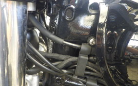 TRIUMPH SPEED TWIN 900 2024