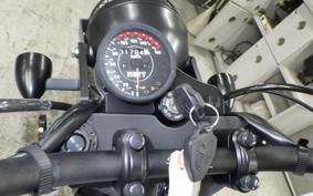 OTHER MUTT250 2009
