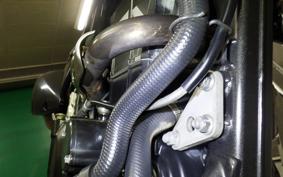 KAWASAKI KLX250D TRACKER X 2021 LX250V