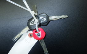 YAMAHA YZF-R1 M 2025