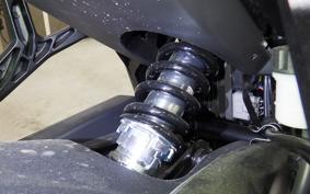 TRIUMPH TRIDENT 660 2026