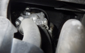 HONDA LEAD 125 2025 JF45