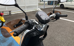 HONDA DUNK AF78