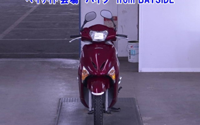 OTHER  LEAD 110EX