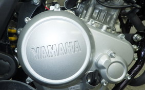 YAMAHA WR155R 2024