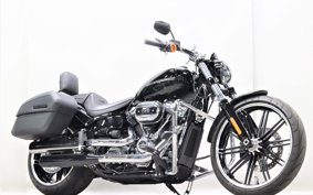HARLEY FXBRS 2021 YHK