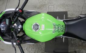 KAWASAKI NINJA 250 EX250L