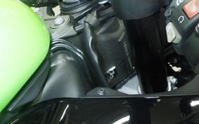 KAWASAKI NINJA ZX-6R A 2021 ZX636G