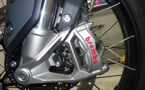 TRIUMPH TIGER 900 RALLY PRO 2022