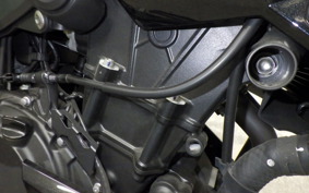 KAWASAKI Z250 Gen.2 2019 EX250P