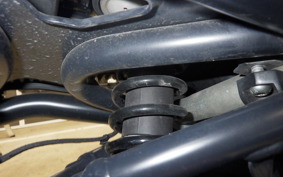 HARLEY RH1250S 2024