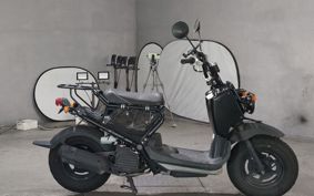 HONDA ZUMAR AF58