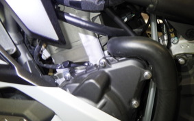 KAWASAKI ZX-4R SE 2024 ZX400P