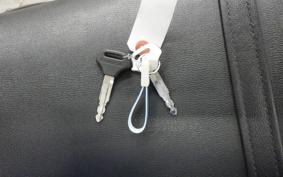 KAWASAKI ESTRELLA 2007 BJ250A