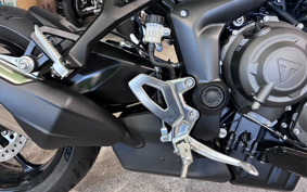 TRIUMPH TIGER SPORT 800 2026 L25P16