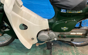 HONDA SUPER CUB50 C50
