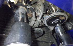 HONDA CBR1100XX 2000