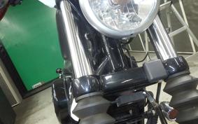 HARLEY XL883N 2017