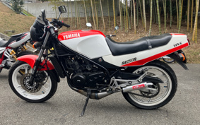 YAMAHA RZ250R 29L