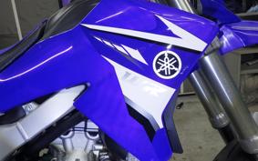 YAMAHA WR250R 2007 DG15J