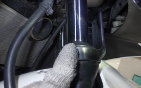 KAWASAKI NINJA 250R 2007 EX250K