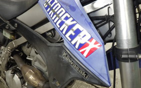 KAWASAKI KLX250 Gen.2 LX250S