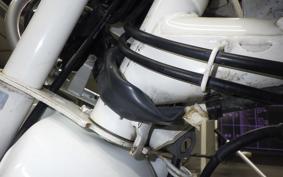 HONDA MONKEY BAJA 1989 Z50J