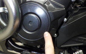 SUZUKI Vｽﾄﾛｰﾑ250A 2008