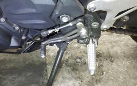 KAWASAKI NINJA 250 EX250P