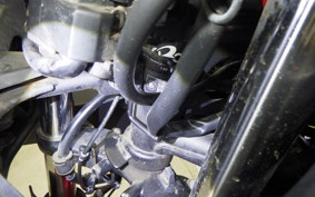 KAWASAKI NINJA 250 ABS EX250L