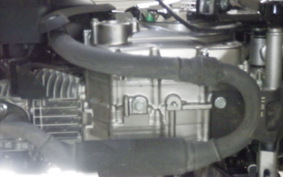 HONDA MONKEY 125 2024 JB05