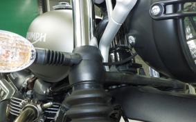 TRIUMPH STREET SCRAMBLER 2021