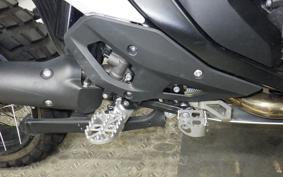 BMW R1300GS 2025