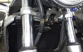 KAWASAKI BALIUS 250 Gen.2 2010 ZR250B
